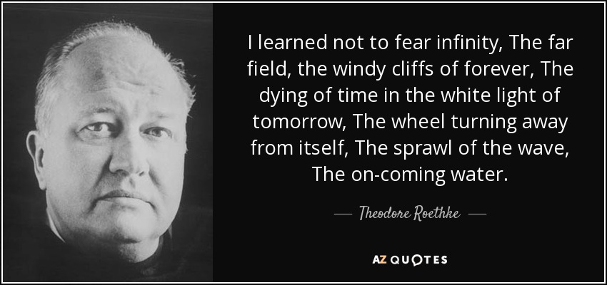quote-i-learned-not-to-fear-infinity-the-far-field-the-windy-cliffs-of-forever-the-dying-of-theodore-roethke-44-38-26